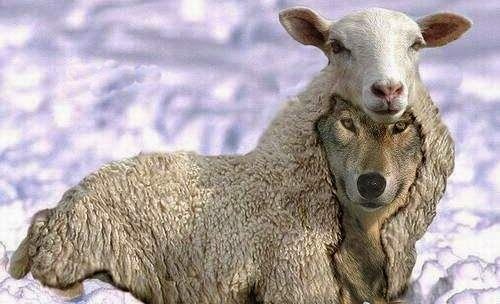 ارزشیابی اساتید ثروت و موفقیت