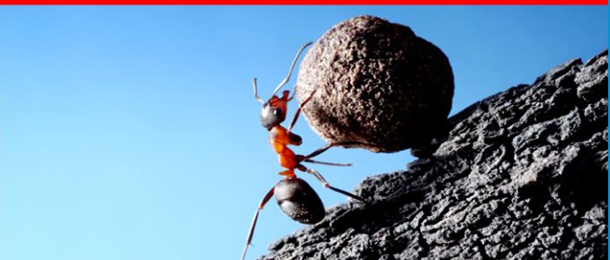 تفکر مثبت پولسازی نمی کند