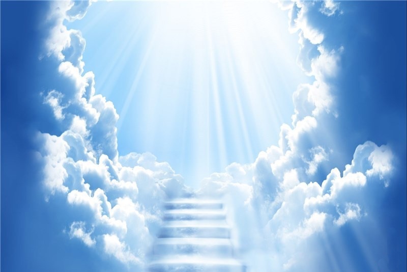 بالهای خوشبختی هر کس، جناحی ست که خودش ساخته است