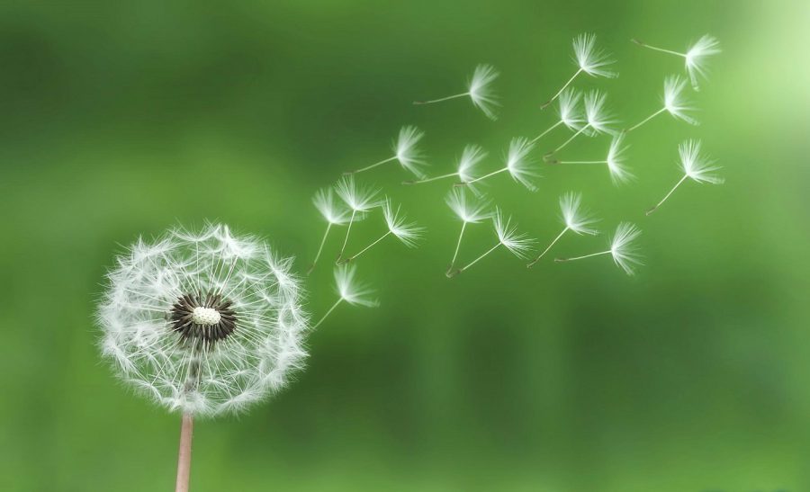 روش ثروتمند شدن