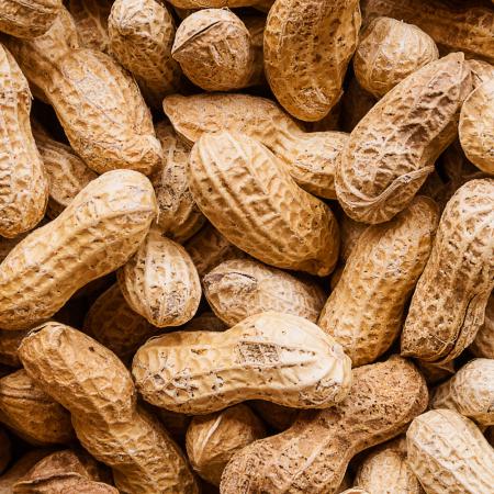 صادرات بادام زمینی