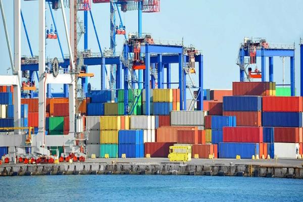 از سیر تا پیاز صادرات کالا