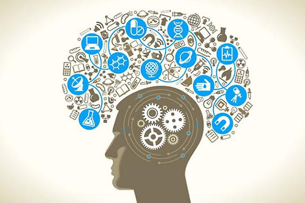 مغز و کارآفرینی