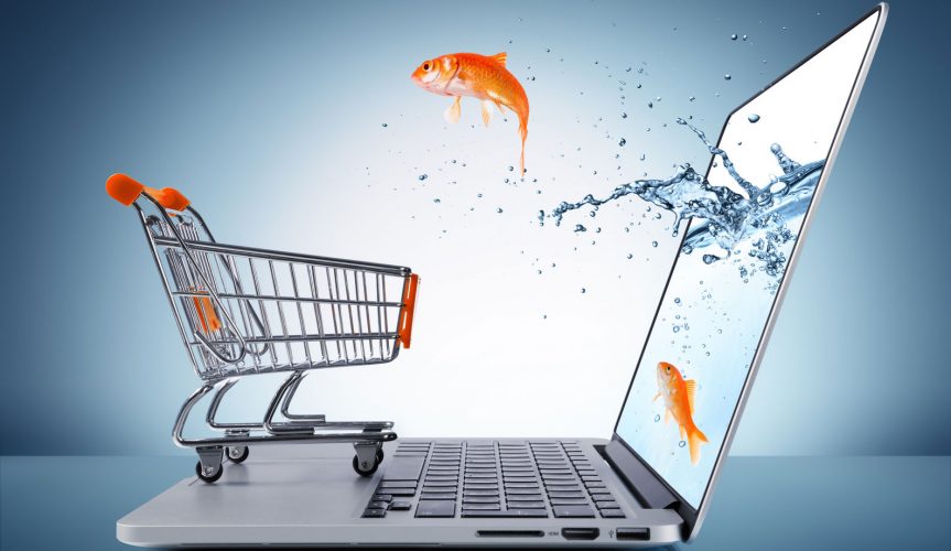 اسرار موفقیت تجاری و شغلی