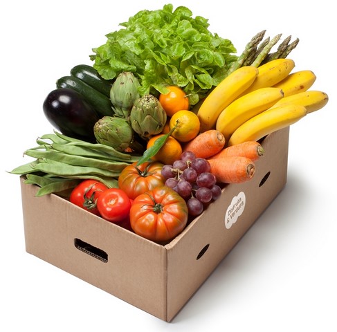 بسته بندی میوه صادراتی