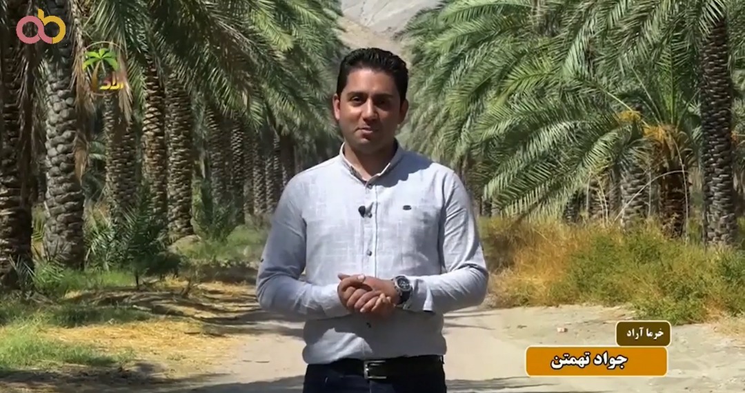 فعال حوزه خرما جواد تهمتن اهل بجنورد