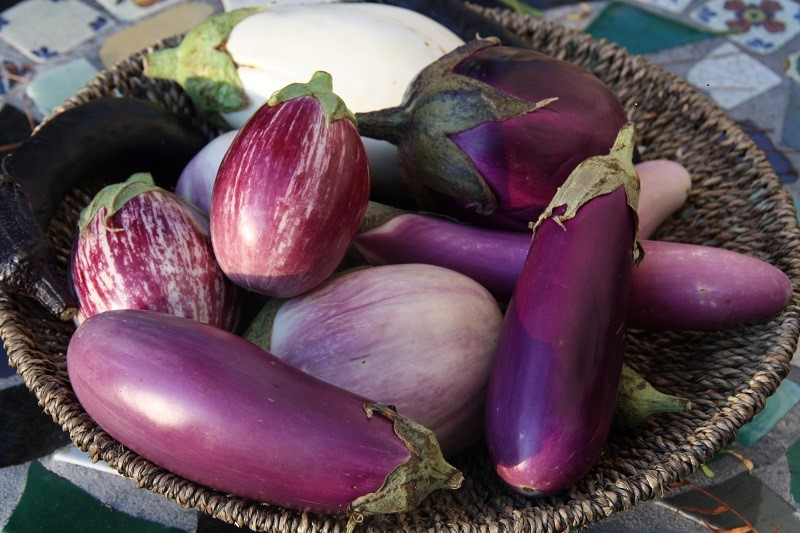 How fattening are the calories and protein of eggplant?