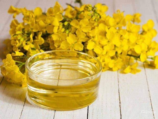 روغن کلزا