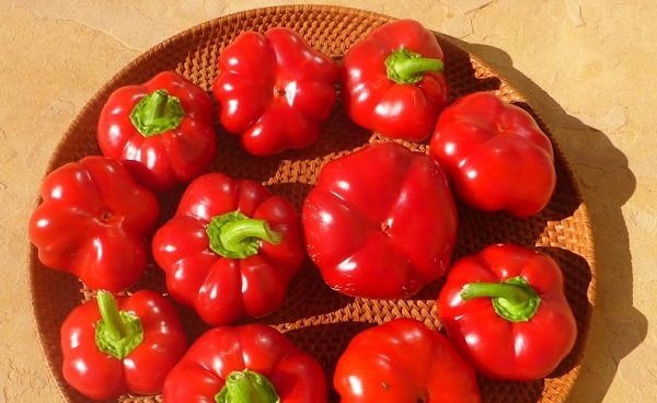 فلفل دلمه ای قرمز