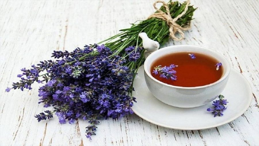 گل گاو زبان