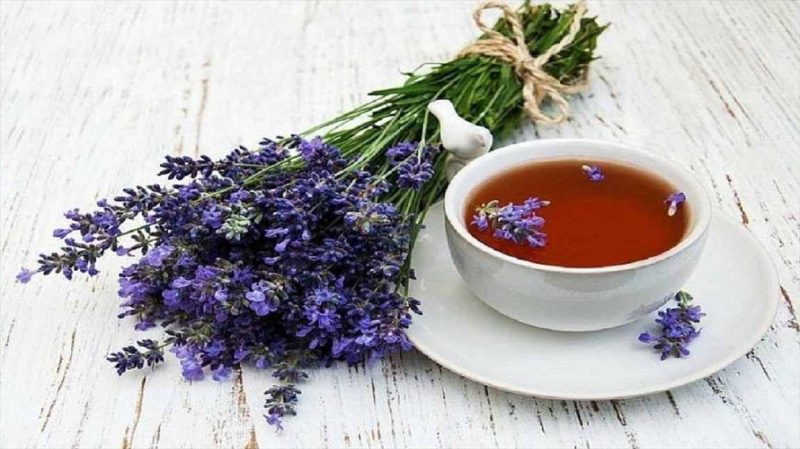 گل گاو زبان