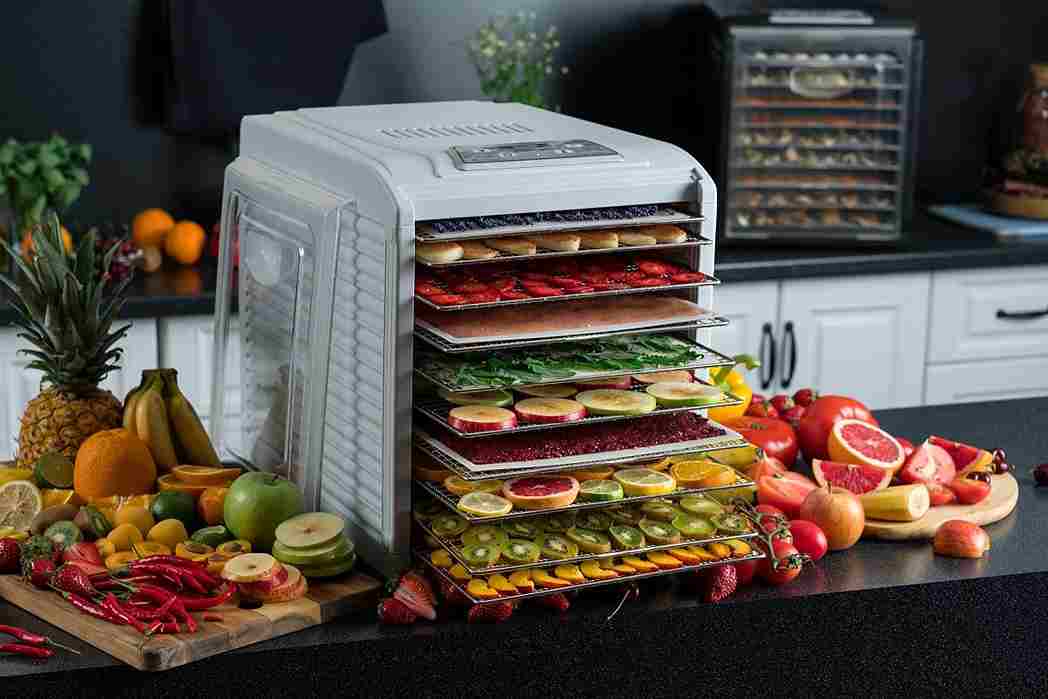 دستگاه میوه خشک کن