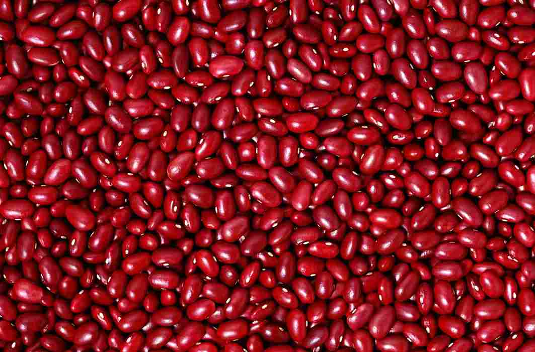 لوبیا قرمز