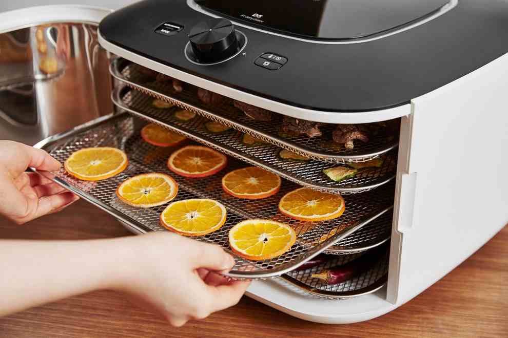 دستگاه میوه خشک کن