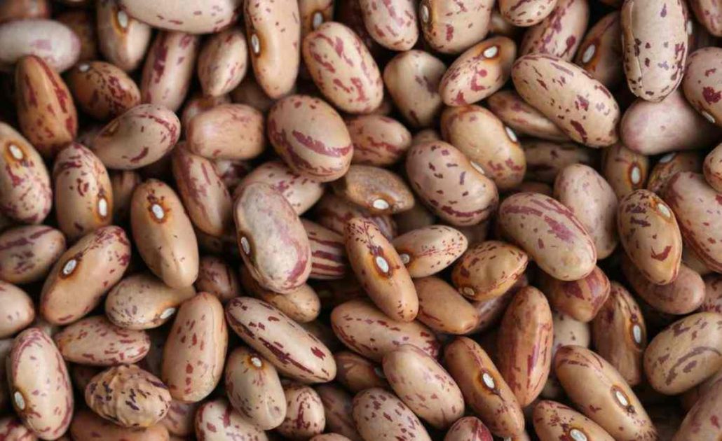 لوبیا چیتی فله