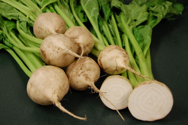 طبع چغندر سفید