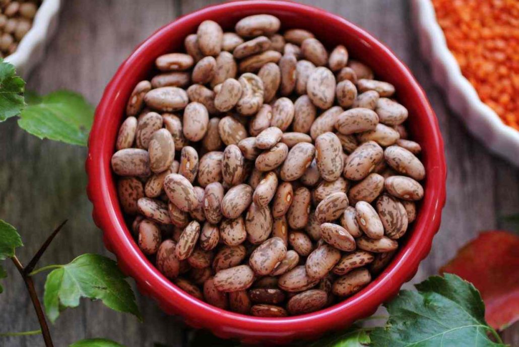 لوبیا چیتی تازه