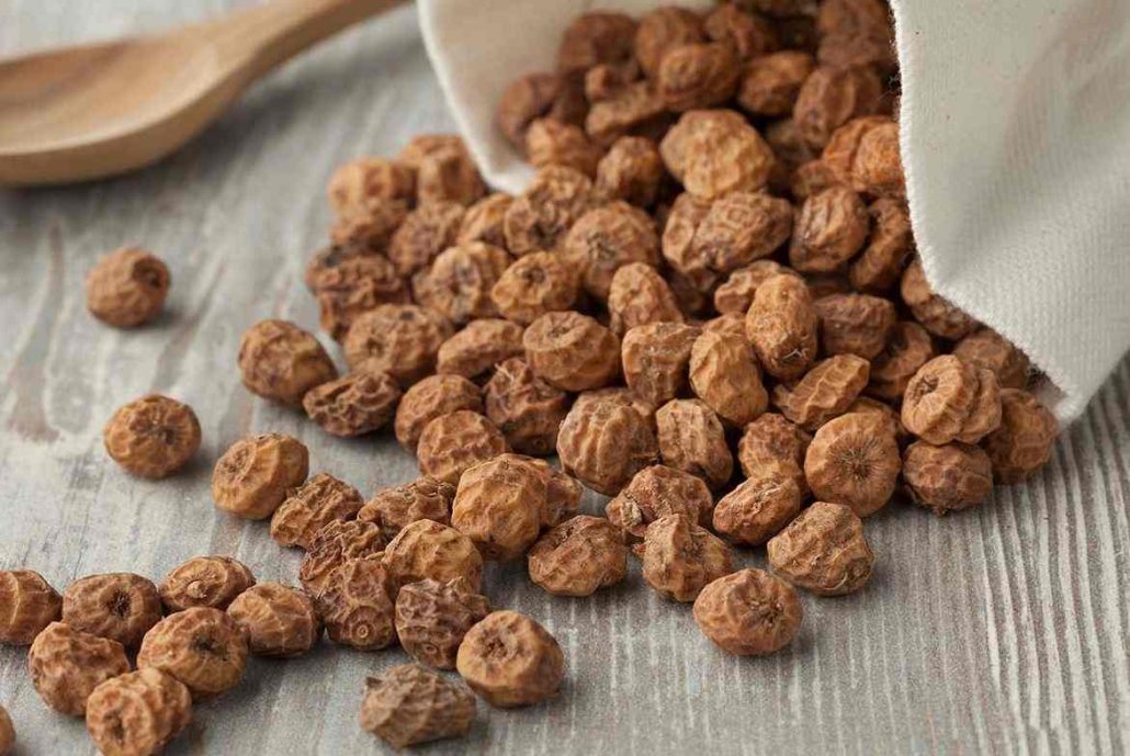 طعمه ماهی دریا