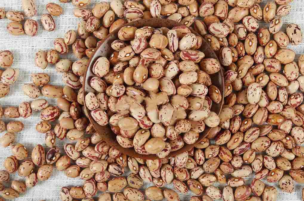 لوبیا چیتی فله ای