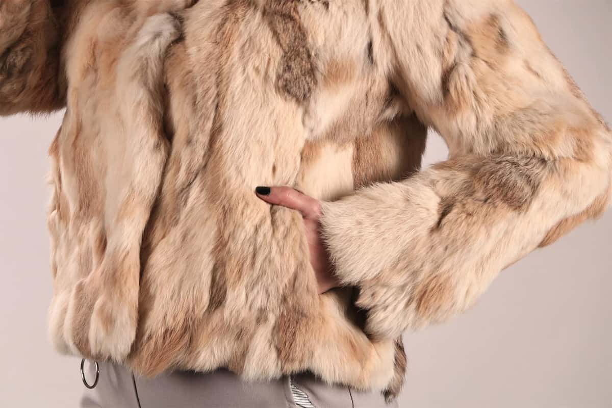 پالتو گرگ مردانه